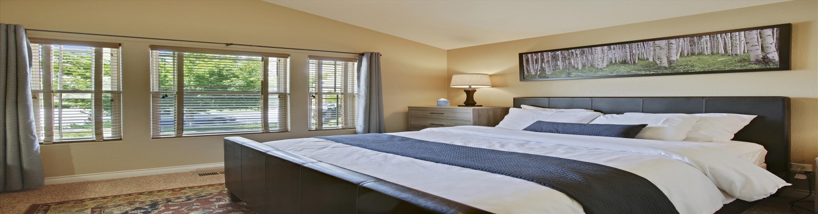 7033 Ruidoso Dr, Windsor, Colorado, United States 80550, 5 Bedrooms Bedrooms, ,3 BathroomsBathrooms,House,Furnished, Ruidoso Dr,1048