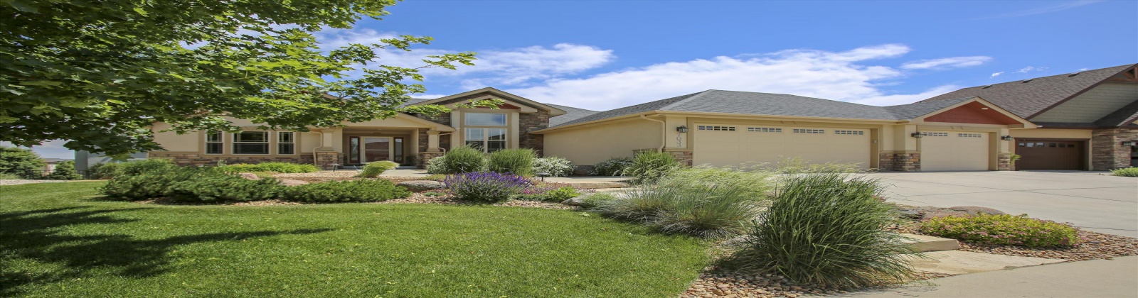 7033 Ruidoso Dr, Windsor, Colorado, United States 80550, 5 Bedrooms Bedrooms, ,3 BathroomsBathrooms,House,Furnished, Ruidoso Dr,1048