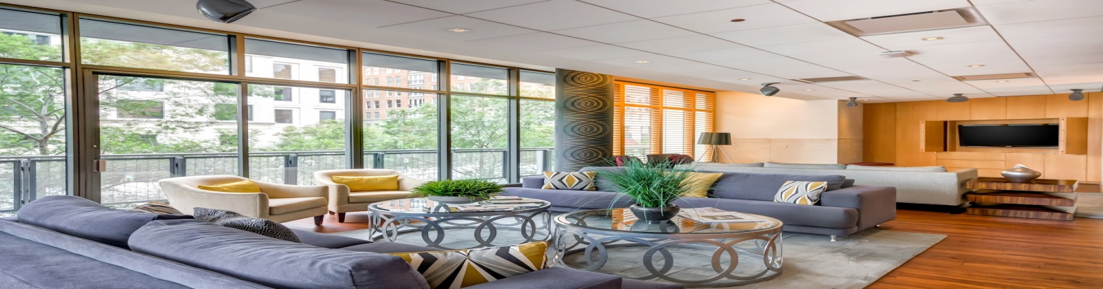 Large Windows with City Views, Private Balconies 