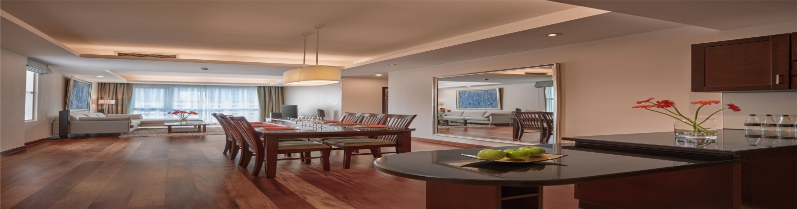 Integrated Living, Dining, and Kitchen Areas