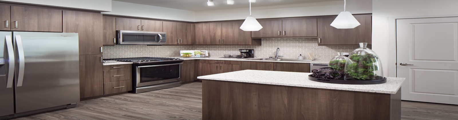 Stainless Steel Appliances, Quartz Countertops, Glass or Subway Tile Backsplash