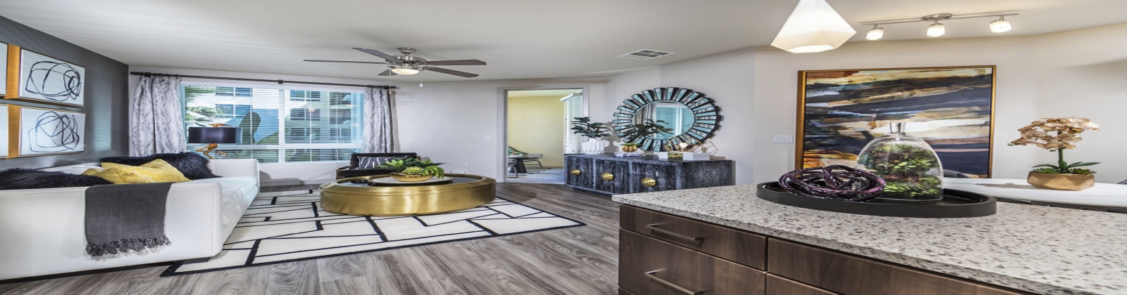 Stainless Steel Appliances, Quartz Countertops, Glass or Subway Tile Backsplash