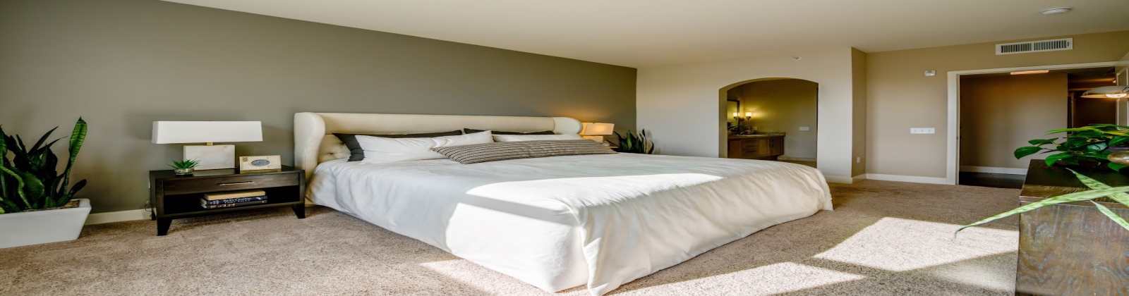 Generous sunlight floor plans, 9-10 foot ceilings, elegant hardwood floors Generous sunlight floor plans, 9-10 foot ceilings, elegant hardwood floors