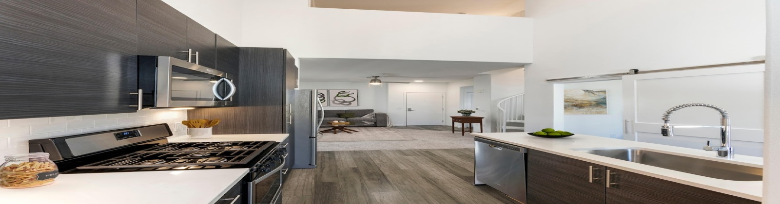 Stainless steel appliances, gas ranges, white quartz countertops, dark grey paneled flat cabinetry, LED lighting Stainless steel appliances, gas ranges, white quartz countertops, dark grey paneled flat cabinetry, LED lighting