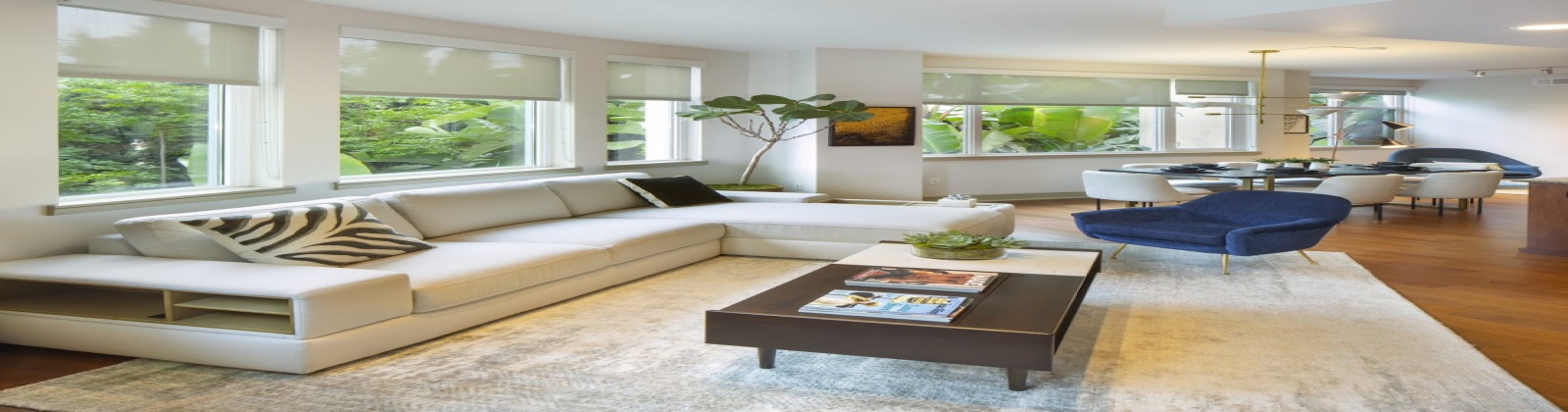 expansive dual pane windows 