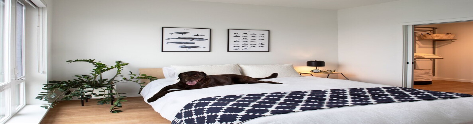 Wood plank style flooring 