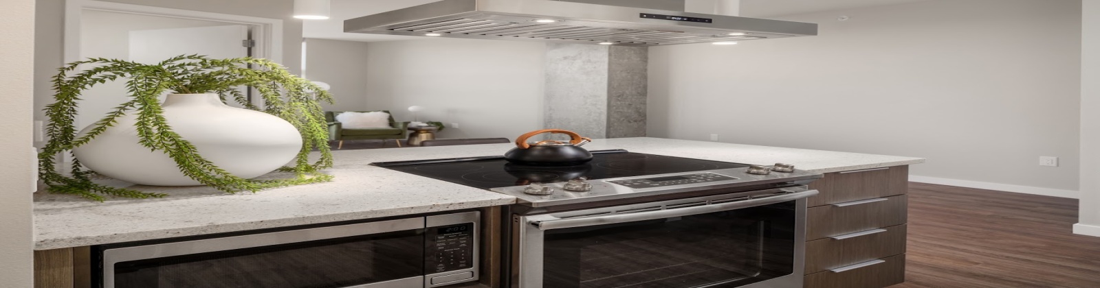 10-foot ceilings, island, soft close cabinets, stainless steel appliances, tile backsplash, under cabinet lightning, wood plank flooring 