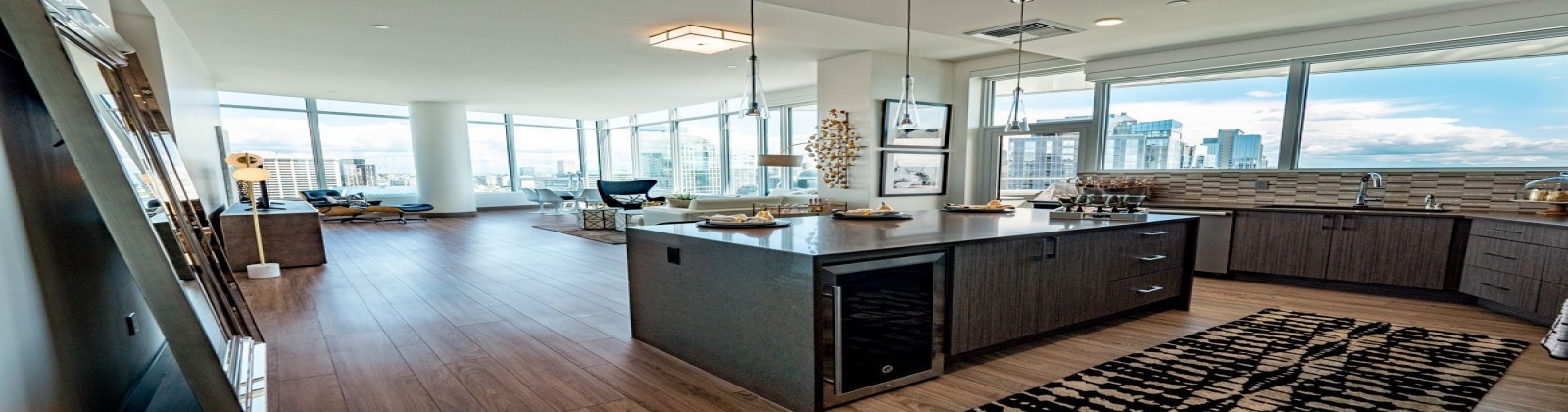 Vaulted ceilings, quartz countertops, island, energy star certified appliances, hardwood style plank flooring