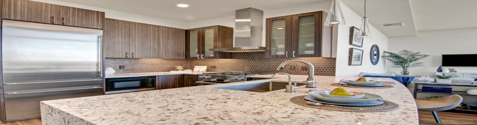 Vaulted ceilings, quartz countertops, island, energy star certified appliances, hardwood style plank flooring