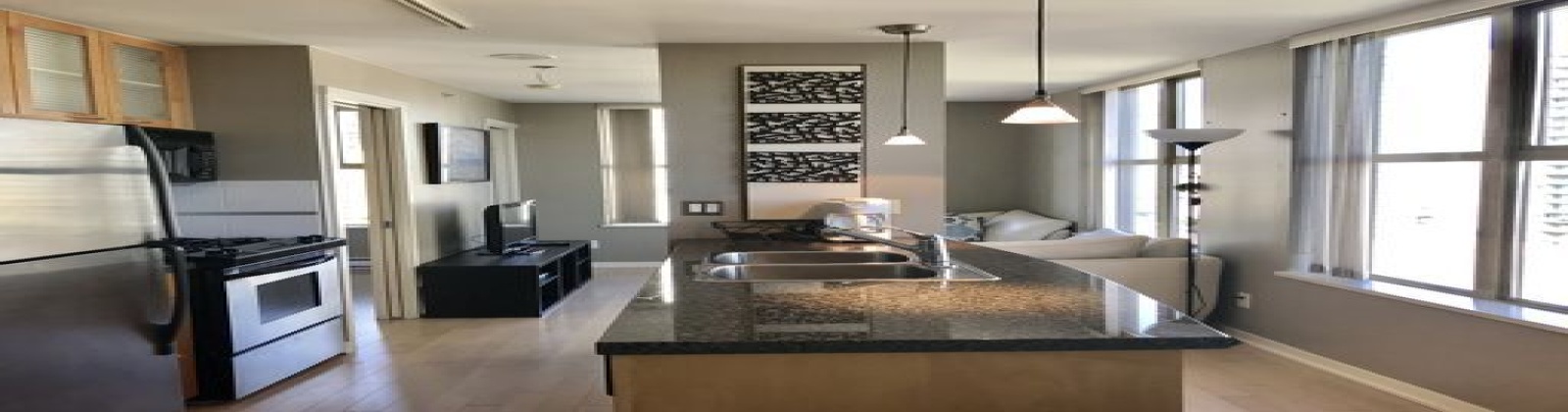 Granite/ stone/ quartz countertops, stainless steel appliances