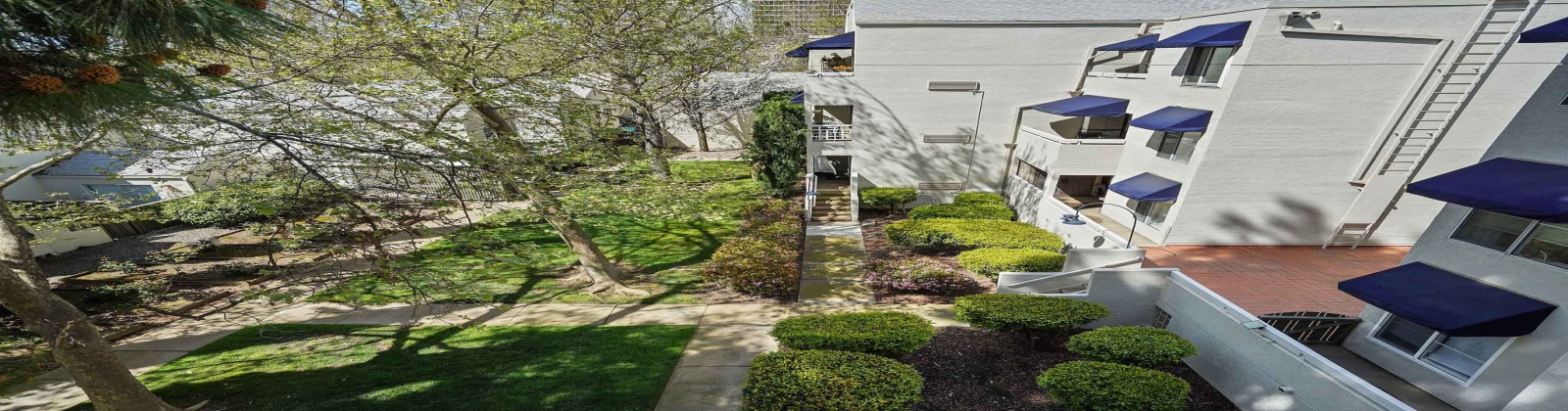 1016 P Street, Sacramento, California, United States 95814, 2 Bedrooms Bedrooms, ,Condo,Furnished,P Street,3,2491