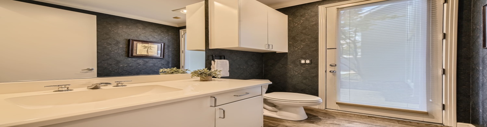 Plano, Texas, 4 Bedrooms Bedrooms, ,4 BathroomsBathrooms,House,Furnished,Tipperary,1,2535