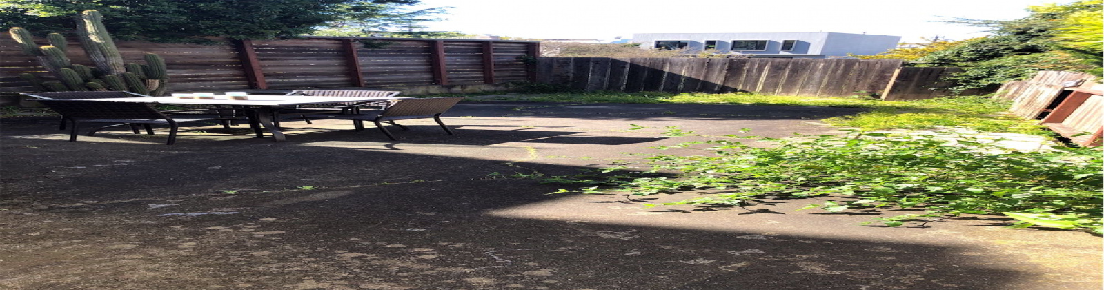 3 Bedroom/2 Bathroom mid-century single family house is located in Noe Valley. Features: desk, original chandelier, original art-deco lines in the crown molding trims and arched doorways, bathtub features extra length (for bath soaks), deep closets, downtown skyline views, original kitchen tiling and cabinets, portable dishwasher, and a large bonus room. The King bed in the lower bedroom can be separated into two twin beds. The house has a deep 2-car attached garage that will fit 2 smaller vehicles with tandem parking.  Washer and dryer are in the garage.  This pet-friendly property also has a quaint zen garden like backyard area that is totally fenced in.

Easy access to commuter shuttles and public transportation. Near the 24th Street commercial corridor and a small climb to the Diamond Heights shopping center for a variety of shops to include Safeway, Walgreens and a Chinese dim sum restaurant.

 

 