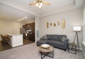 Chesterfield, Missouri, 1 Bedroom Bedrooms, ,1 BathroomBathrooms,Apartment,Furnished,Watermark,Lydia Hill,4,1364