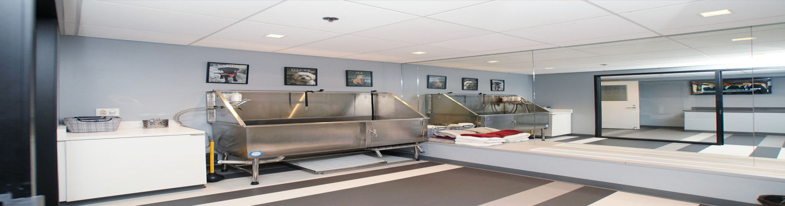 8025 N Bonhomme, Clayton, Missouri, United States 63105, ,Apartment,Furnished,Clayton on the Park,N Bonhomme,1372