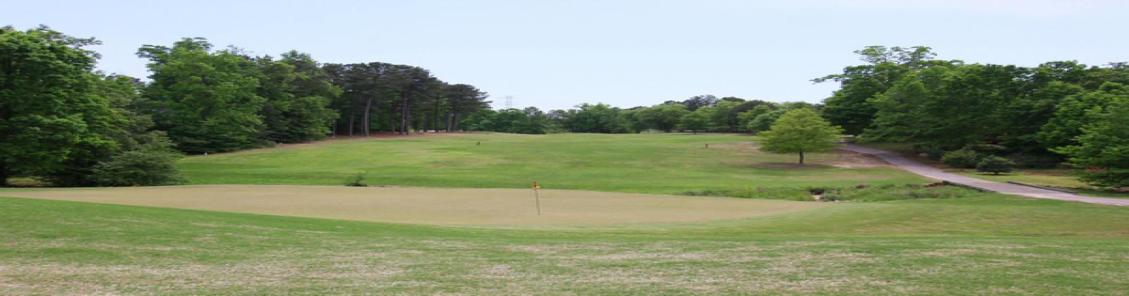 1620 Oakland Hills, Raleigh, North Carolina, United States 27604, 3 Bedrooms Bedrooms, ,2.5 BathroomsBathrooms,Townhome,Furnished,Oakland Hills,1383